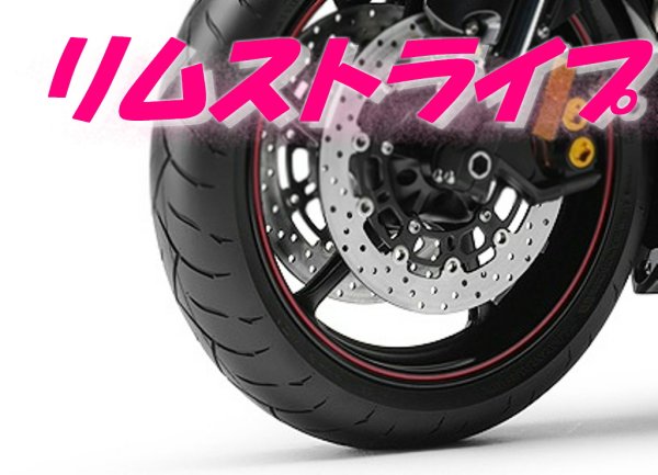 画像1: シングルストライプ+標準色+標準サイズ (1)